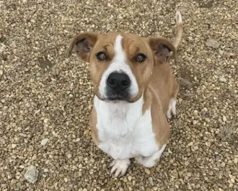 Suzie photo 4