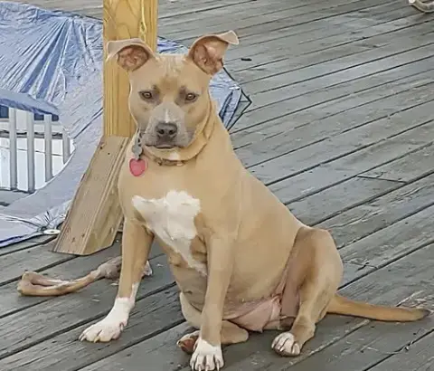 Bonnie photo 2