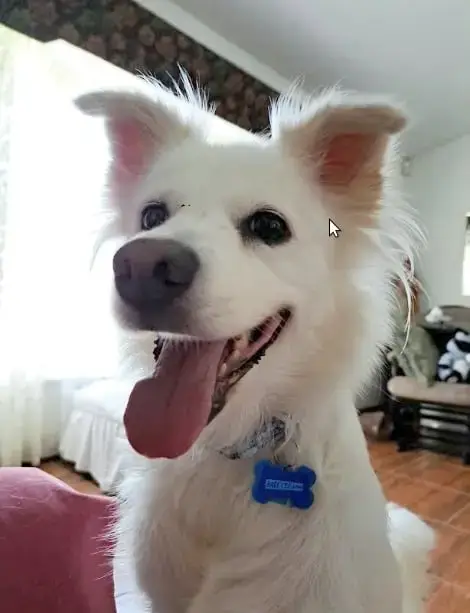 Luna photo 3