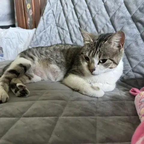 Edna