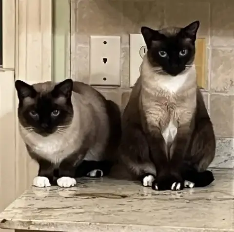 Zoe