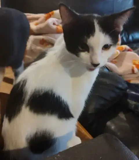 Charlie
