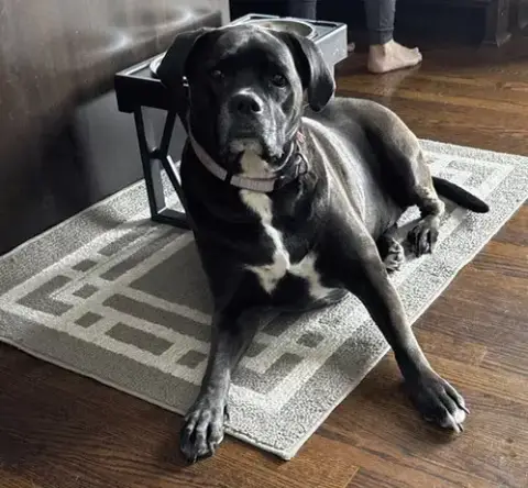 Millie photo 2