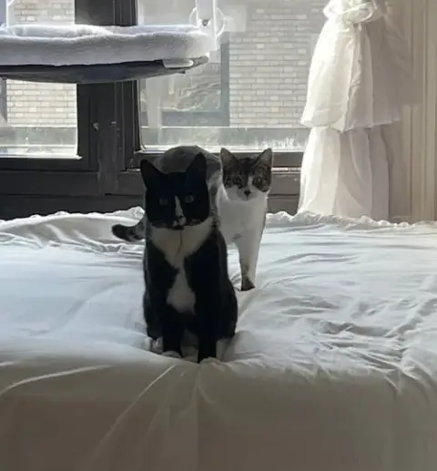 Charlie And Farrah photo 5