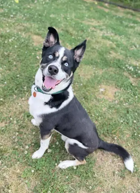Sam