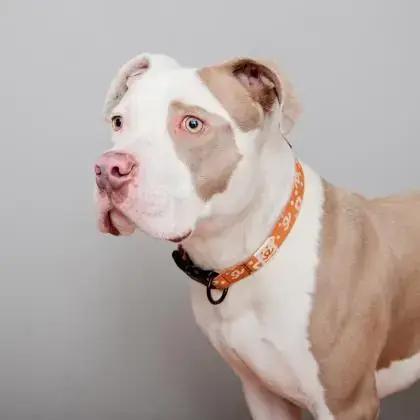 Max photo 3