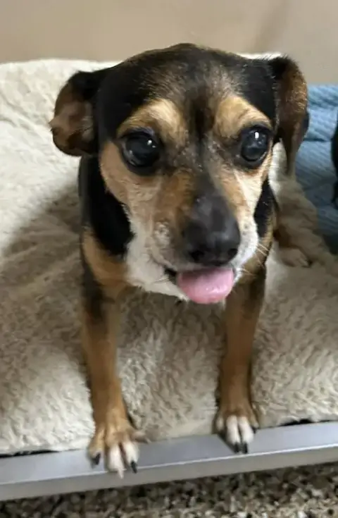 Lily photo 2