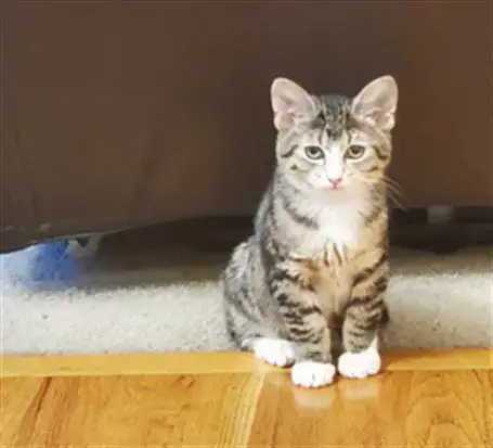 Bella