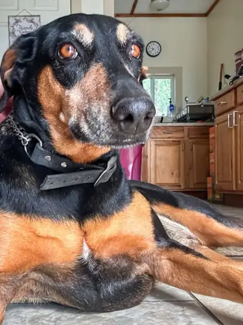 Coco