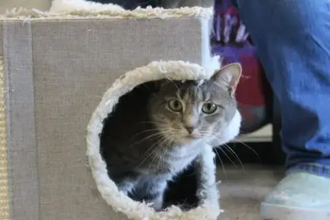 Shellie photo 4