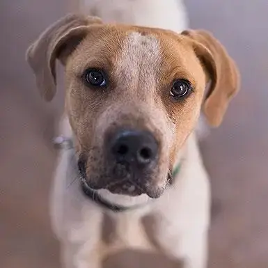 Titus photo 3