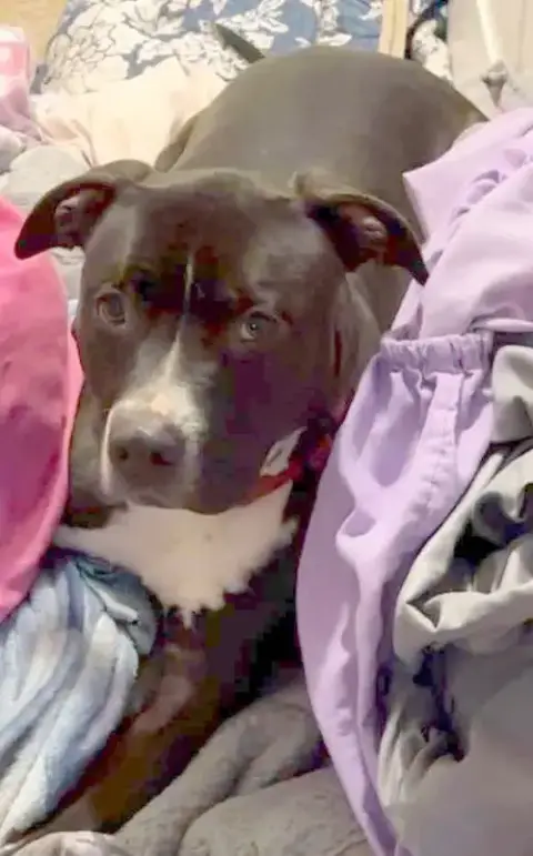 Echo: Not At The Shelter photo 3