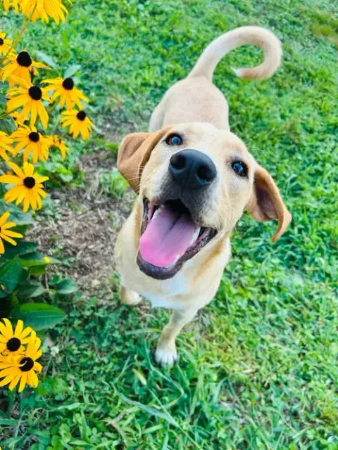 Happy photo 4