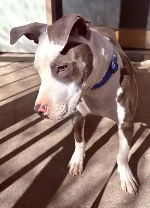 Zeus photo 4