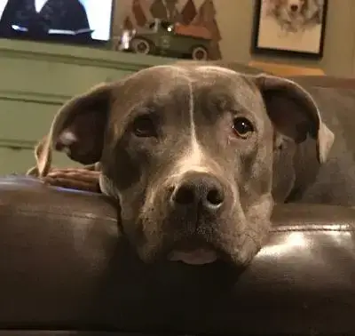 Fiona photo 2