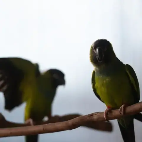 Eve photo 4