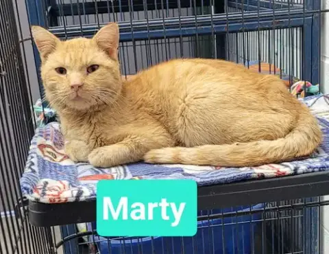 Marty photo 3