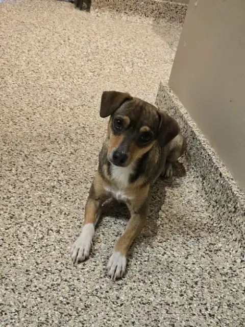 Frankie photo 2