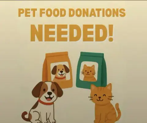 We Are Low In Food