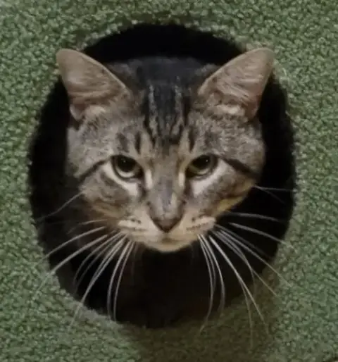 Hank photo 4