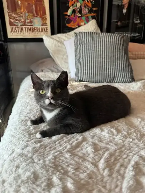 Mochi photo 2