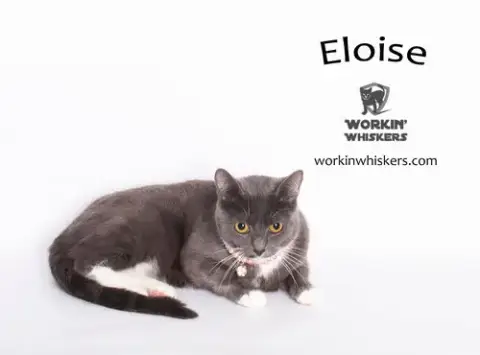 Eloise photo 4