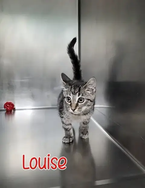 Louise photo 2
