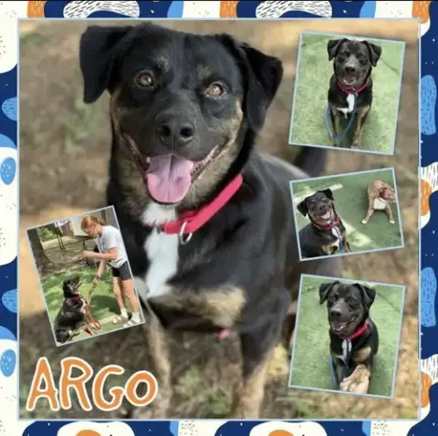 Argo photo 3