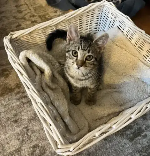 Little Boo photo 2