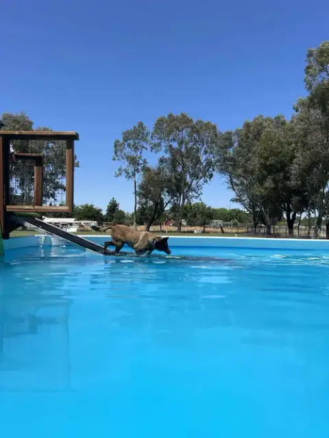 Kona photo 2