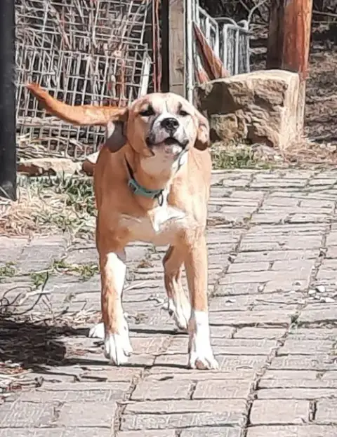 Zeke photo 3