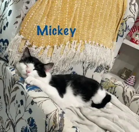 Mickey W/Matthew Willow Grove
