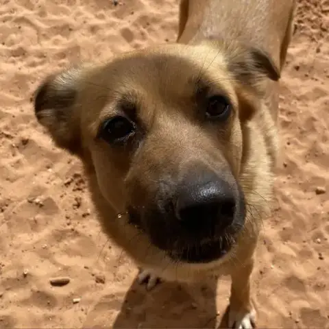 Pretty Girl