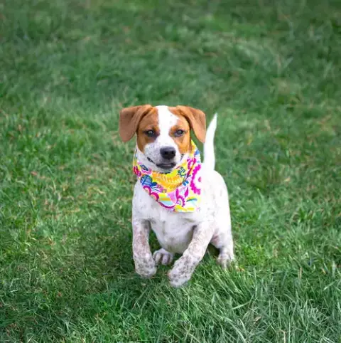 Lola photo 2