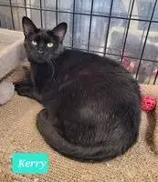 Kerry-Sponsored