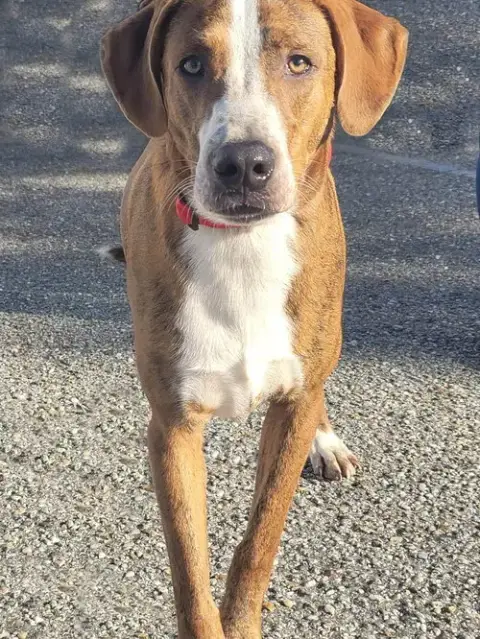 Woody photo 2