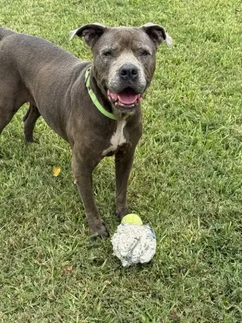 Maggie