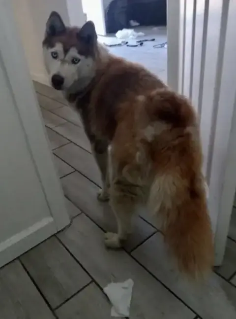 Sasha photo 3