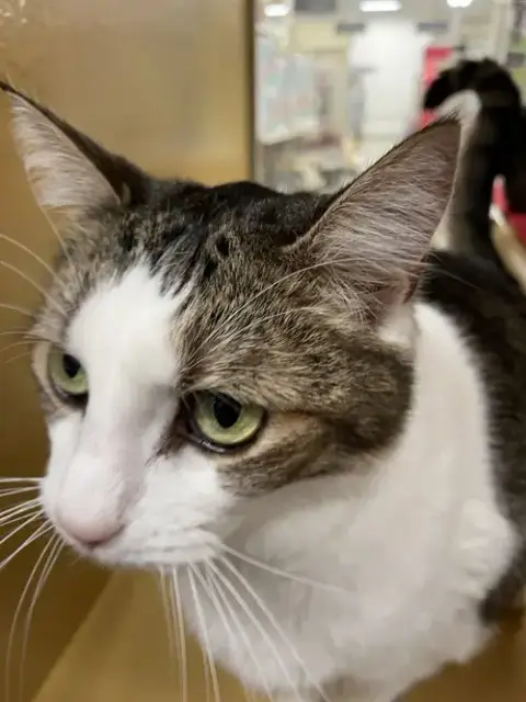 Kiki photo 2