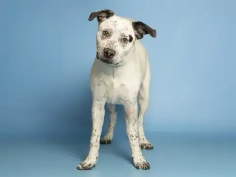 Bingo