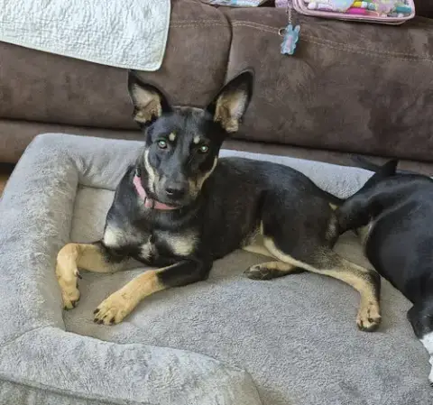 Mia