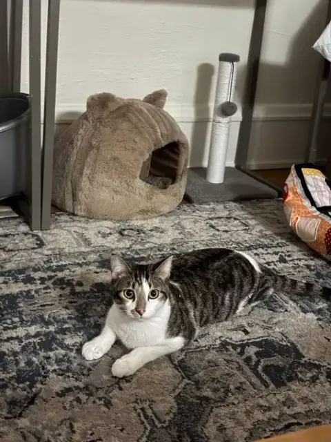 Oliver photo 2