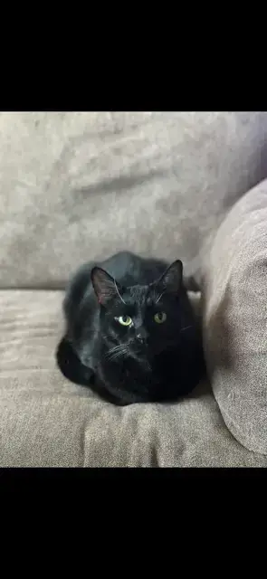 Jack