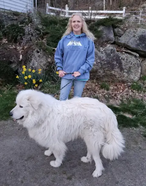Levi *Sanctuary Dog* In Nh photo 3