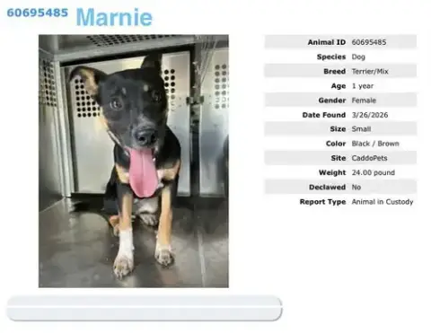 Marnie photo 2