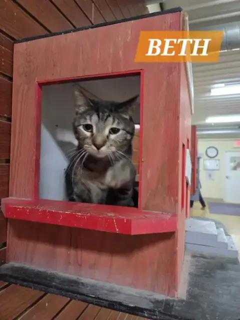 Beth photo 3