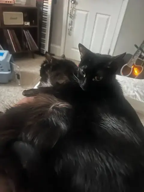 Kiki / Minnie photo 4