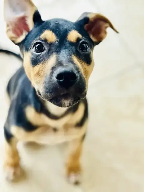 Pablo photo 2