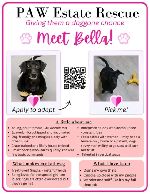Bella photo 3