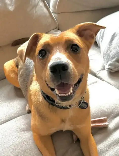 Ruby